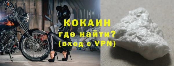 твердый Михайлов