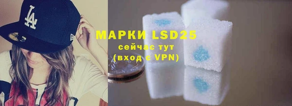 дживик Болотное