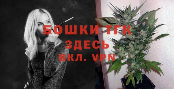 ешки Надым