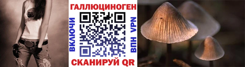 Галлюциногенные грибы Magic Shrooms  закладки  Донецк 