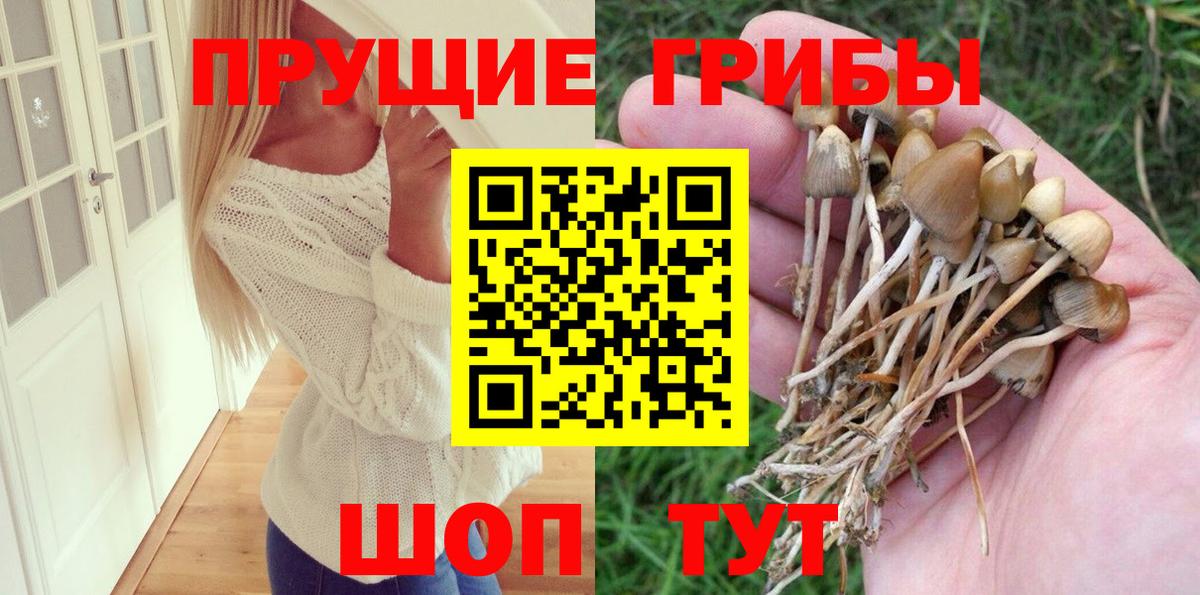 Псилоцибиновые грибы мухоморы  купить   Донецк  Вход с VPN 