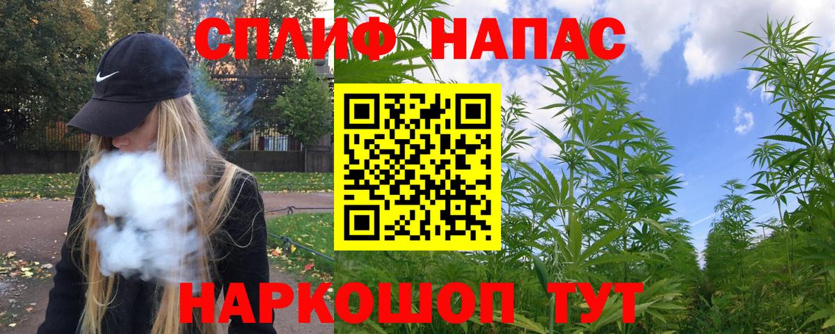 Каннабис гибрид  Марихуана план  Бошки Шишки тримм  Вход с VPN  Донецк 